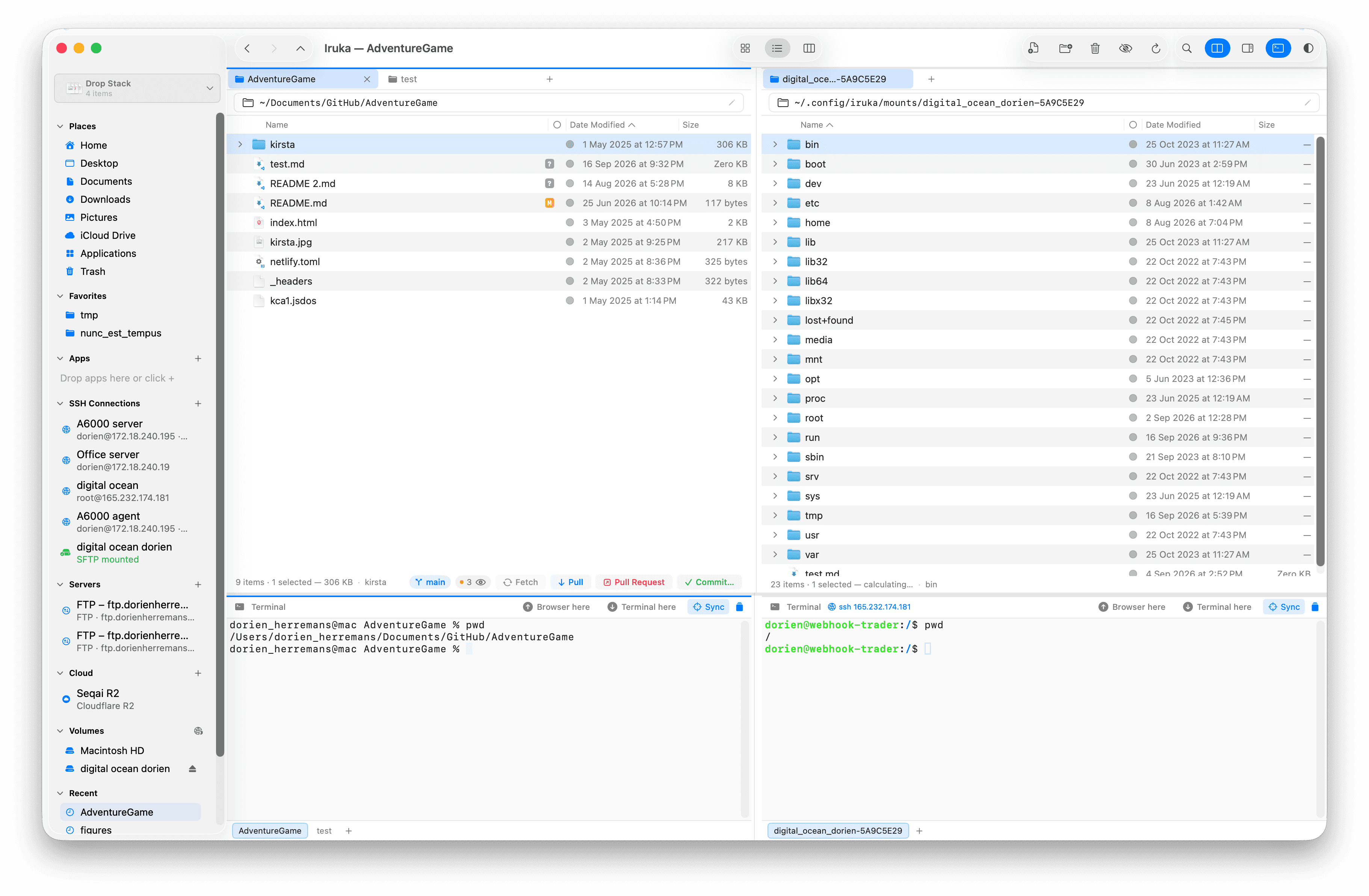 Iruka showing a local project and an SFTP-mounted server side by side, with pwd displaying the local directory and remote SSH directory
