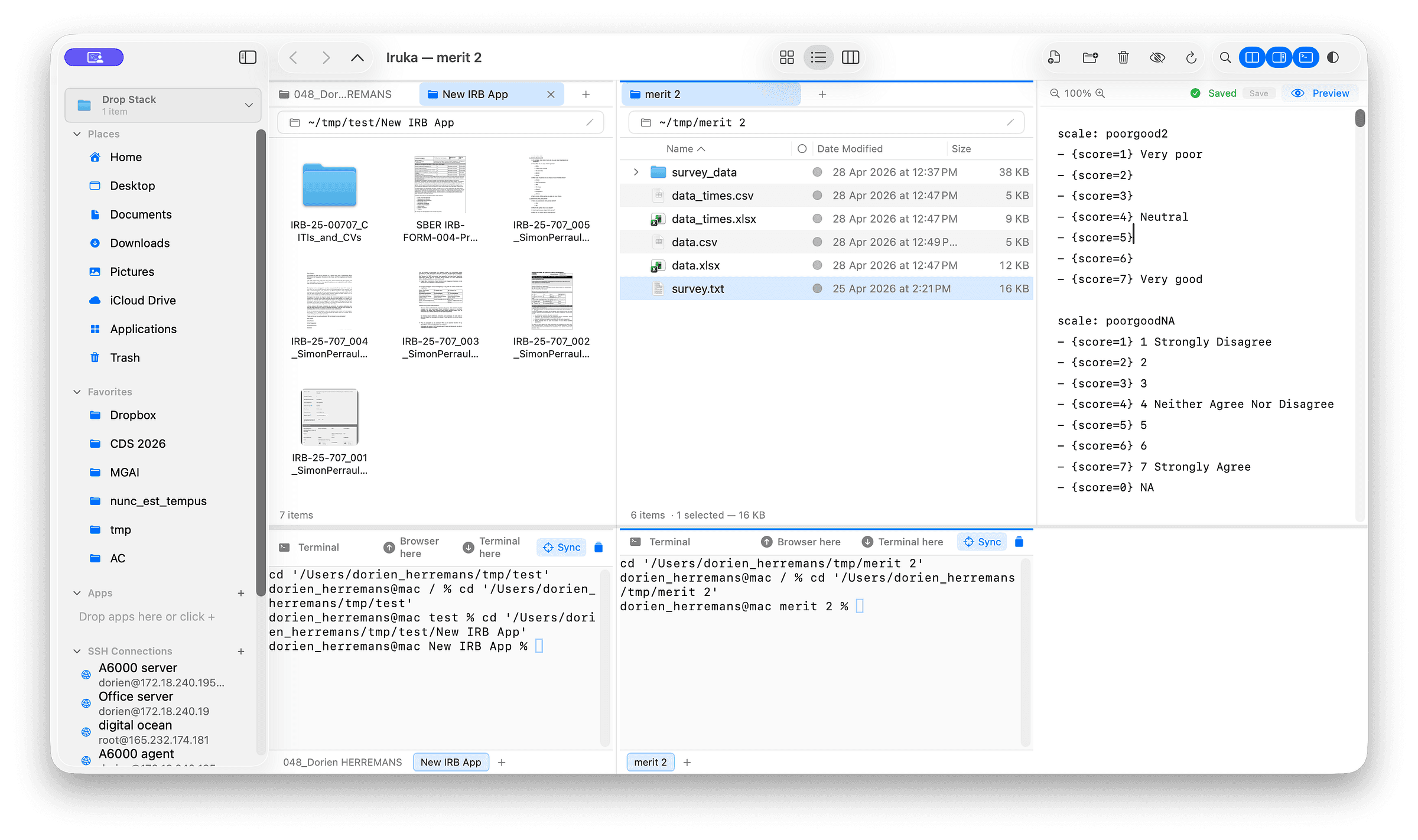 Iruka — dual pane (each with synced terminal), and editable preview