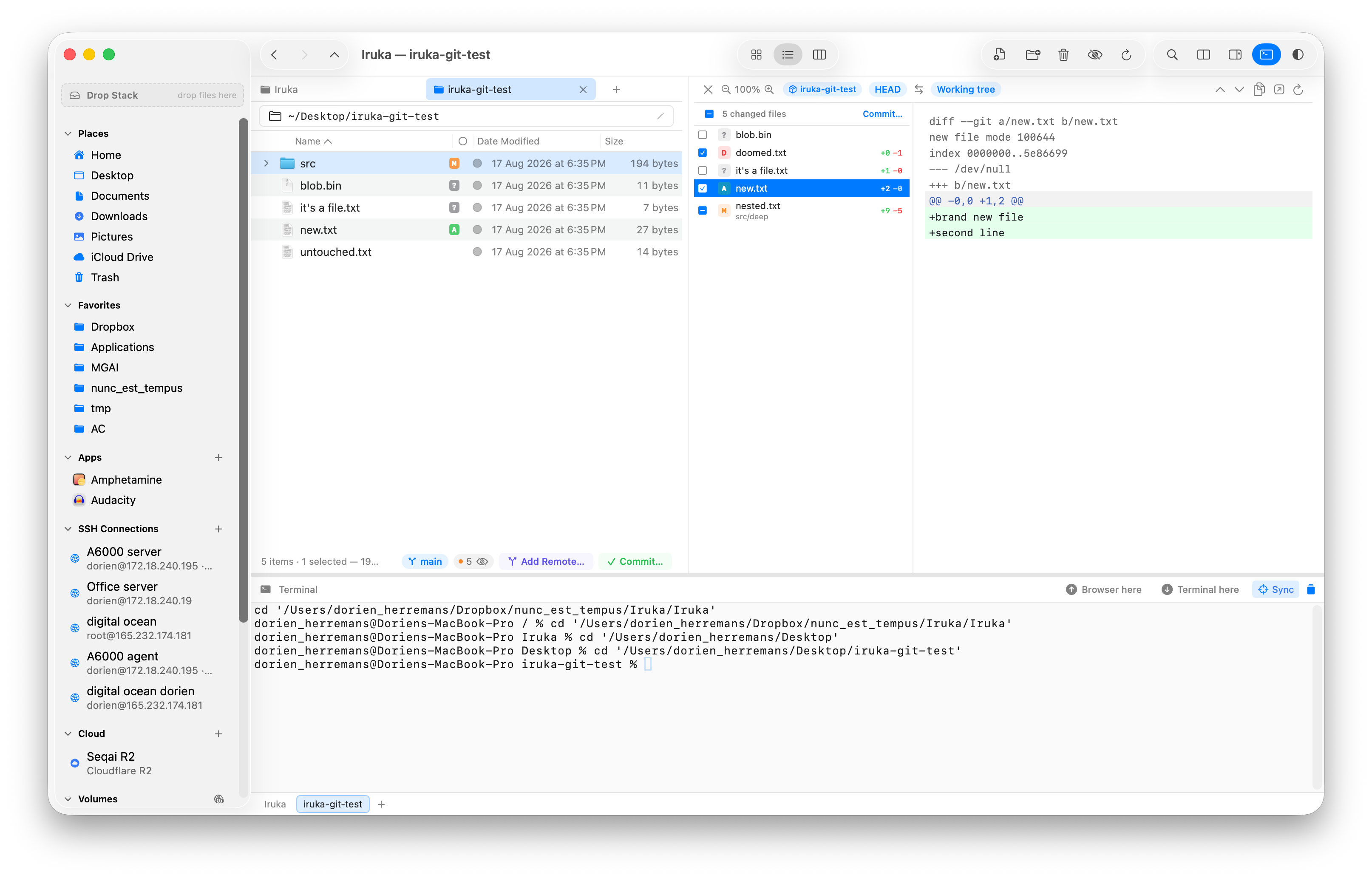 Iruka git review pane showing changed files and a line-by-line diff against HEAD